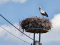 20260621_152037-scaled